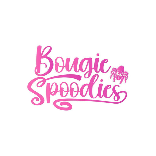 Bougie Spoodies 1