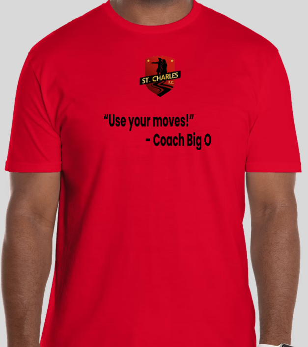 USE YOUR MOVES- TSHIRT or LONG SLEEVE